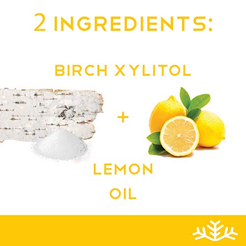 Lemon Xylitol Candy Chips - Snø 1Lb Bag - Handcrafted W/ Only 2