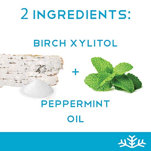 New Look Peppermint Xylitol Candy Chips 3-Pack - Snø 1.5Oz T