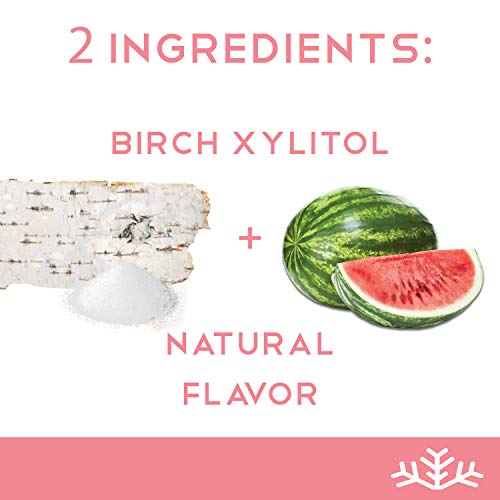 Fruity Assorted Xylitol Candy Chips 6-Pack - Snø 1.5Oz Tins -