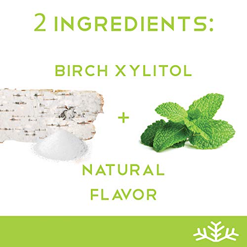 Spearmint Xylitol Candy Chips - Snø 1Lb Bag - Handcrafted W/ Onl