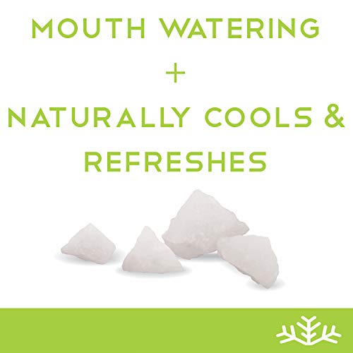 Spearmint Xylitol Candy Chips - Snø 1Lb Bag - Handcrafted W/ Onl