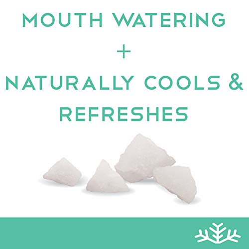 Wintergreen Xylitol Candy Chips - Snø 1Lb Bag - Handcrafted W/ O