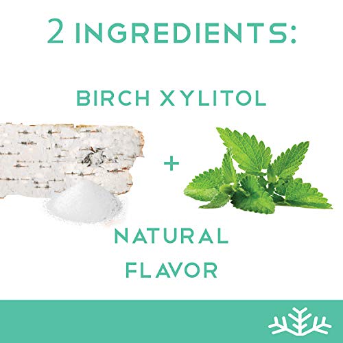 Wintergreen Xylitol Candy Chips - Snø 1Lb Bag - Handcrafted W/ O