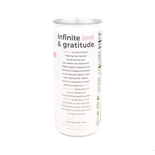 Social Grapefruit Rose Flavored Organic Sparkling Water - Made W