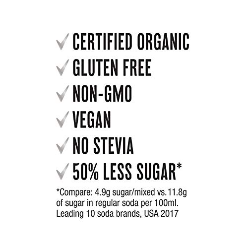 Sodastream Soda Press Organic Ale Flavor Mix, Ginger, 16.9 Fl Oz