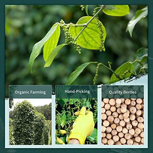 Soeos Ground White Pepper, Ground White Peppercorns, Fine Grain,