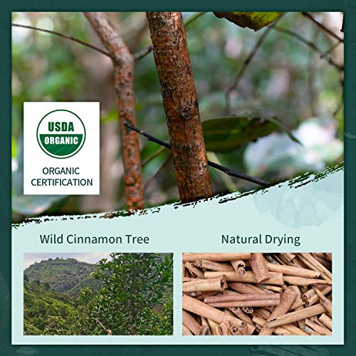 Soeos Organic Cinnamon Sticks 8 Oz, 3.5 Inches Length, Perfect