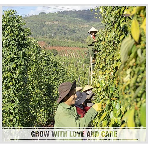 Soeos Whole Black Peppercorns 16 Oz, Grade Aaa, Black Pepperco