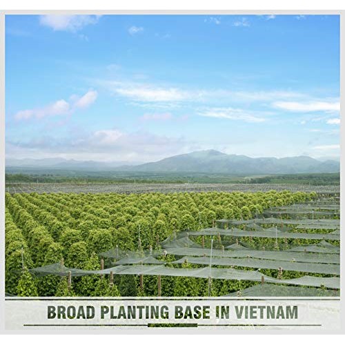 Soeos Whole Black Peppercorns 8Oz, Grade Aaa, Black Peppercorn