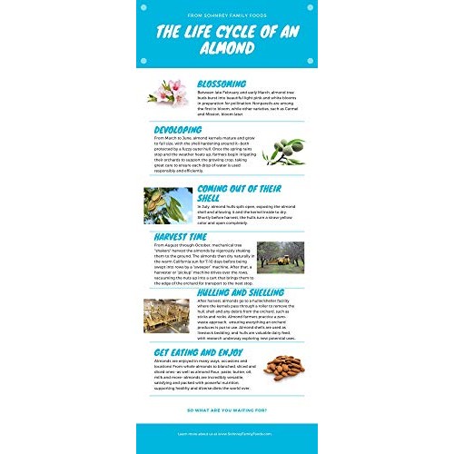 Bold Flavored Roasted Almonds - Smokey Jalapeno, Garlic, Wasabi