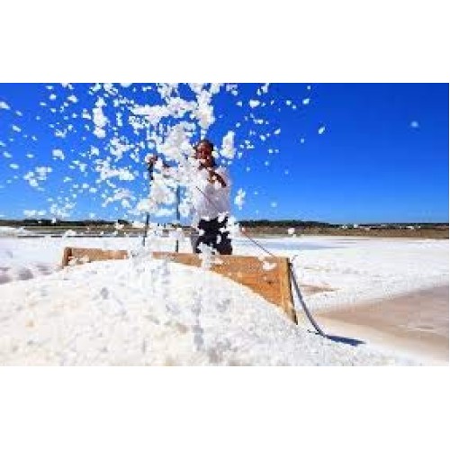 Croatian Adriatic Organic Flower Of Salt Fleur De Sel Sea Sal