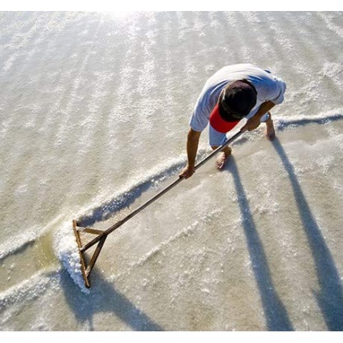 Croatian Adriatic Organic Flower Of Salt Fleur De Sel Sea Sal