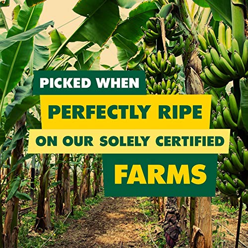 Solely Organic Dried Banana Bitecoins, 8.5Oz | One Ingredient |