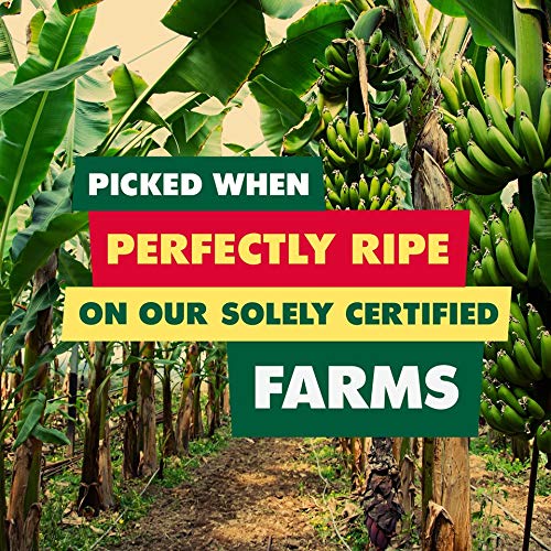 Solely Organic Dried Mango Halves, 8 Oz | One Ingredient | Vegan