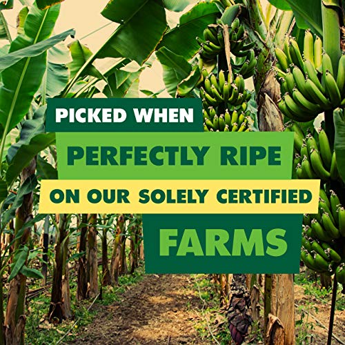 Solely Organic Dried Pineapple Rings With Chili And Salt, 2.2 Oz