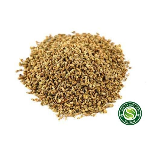 Ajwain Seeds/Carom Seeds Trachyspermum Ammi 7 Oz 200Gm Solia