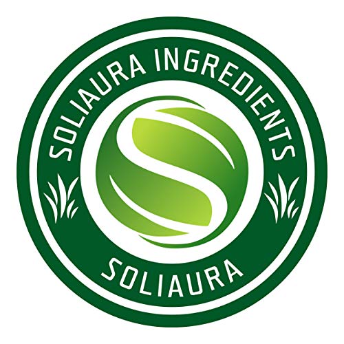 Organically Grown Fennel Seed | Foeniculum Vulgare | 7 Oz 200 G