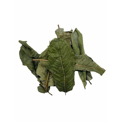 Guava Dried Whole Leaves , 2 oz , Guava Leaves , Guava Leaf Tea ...