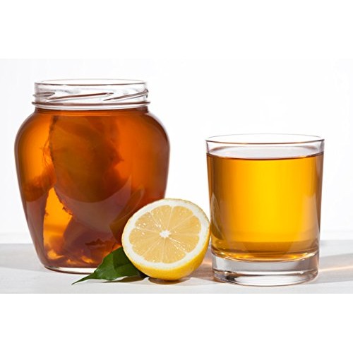 Kombucha Loose Leaf Black And Green Tea 50/50 Blend, 120 Serving