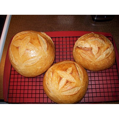 San Francisco Sourdough Starter--The Genuine Wild Yeast And Lact