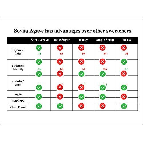 Soviia 20 Oz Vanilla Agave Syrup