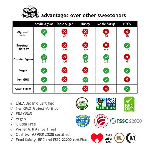 The Better Cocoa Premium Organic Chocolate Syrup 20 Oz Vegan No