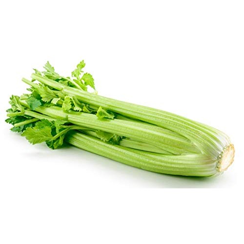 Sow No Gmo Celery Tall Utah 52-70 Non Gmo Heirloom Garden Vegeta