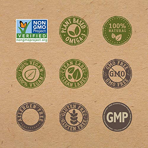 Sow Gluten Free Chia Flour Based Penne Pasta – High In Omega 3,