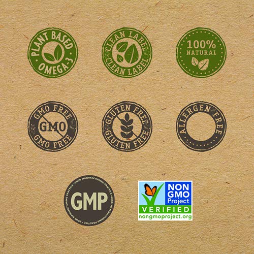 Sow - Seeds Of Wellness Gluten-Free Chia Spaghetti Pasta, High I