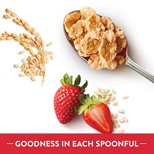 Kelloggs Special K Breakfast Cereal, Original Value Size, 18 Oz