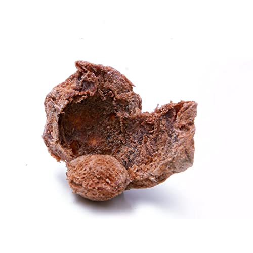 Salty and Sweet Dried Plum8.7oz Crack Seed Plum Preserved Fruit...