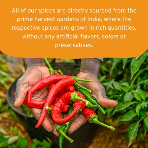 SPICE TRAIN, Chili Powder 397g/14oz Vegan, Gluten free & Raw C... SPICE TRAIN, Chili Powder 397g/14oz Vegan, Gluten free & Raw C...