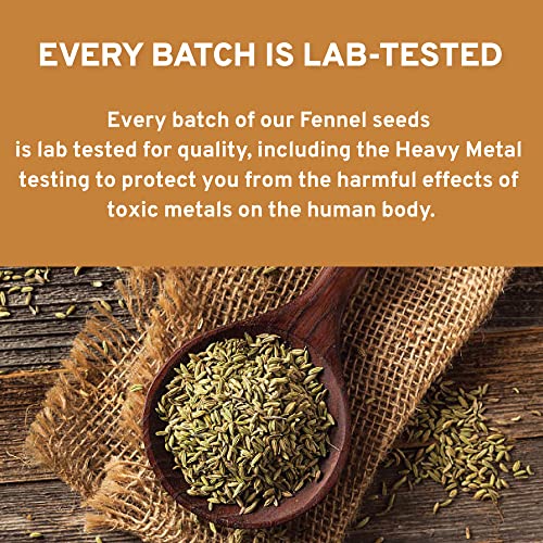 SPICE TRAIN, Fennel Seeds Organic 397g/14oz 100% USDA Organic ...