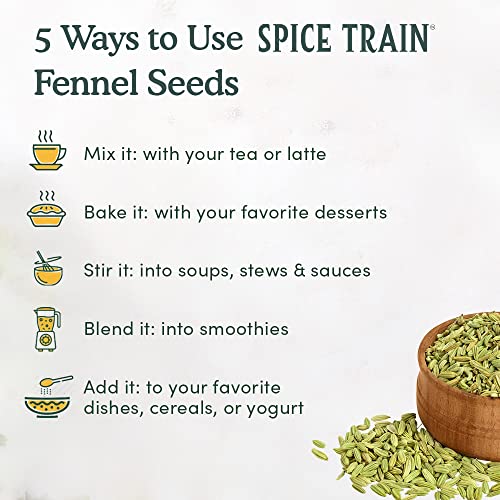 SPICE TRAIN, Fennel Seeds Organic 397g/14oz 100% USDA Organic ...
