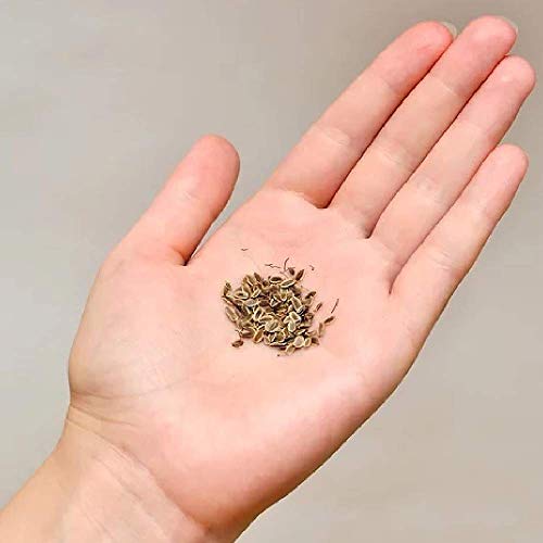 Spices Village Celery Seeds, Kosher Certified, All Natural Whole