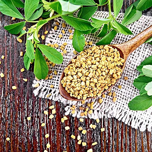 Spices Village Fenugreek Seeds, Kosher Certified, Whole Methi Se