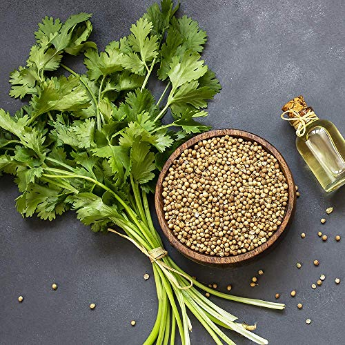 Spices Village Whole Coriander Seeds, All Natural Dried Coriande