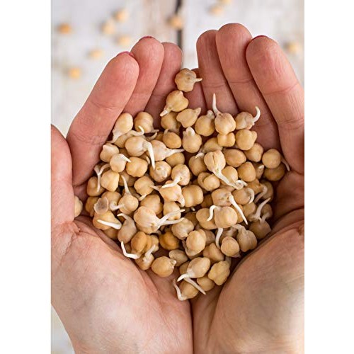 Garbanzo Beans - Chickpeas Dried 4 Lb Bag - All Natural, Sprouta