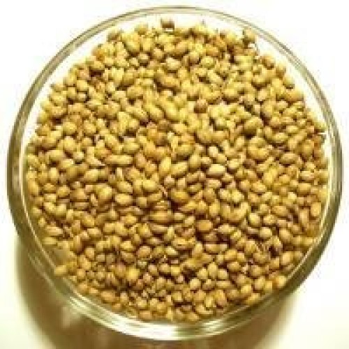 Spicy World Coriander Seeds Whole Bulk, 5-Pounds