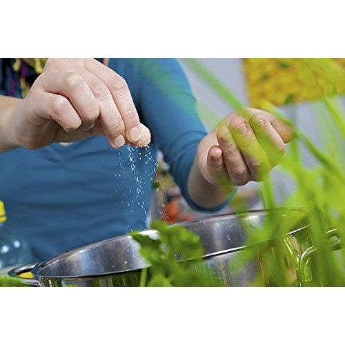 Spls Premium | Asafoetida | Heeng | All Natural | Salt Free | V