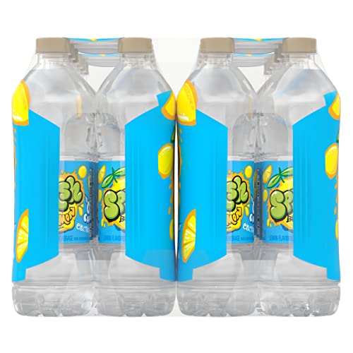 Splash Blast, Flavored Water Beverage, Lemon Flavor, 16.9 Fl Oz ...