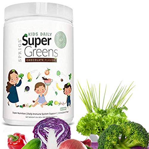 Kids Daily Super Greens Chocolate - 48 Super Foods - 9.5Oz