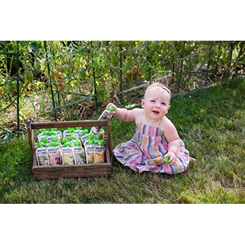 Sprout Organic Baby Food Pouches Stage 2 Sprout Organic Baby Foo
