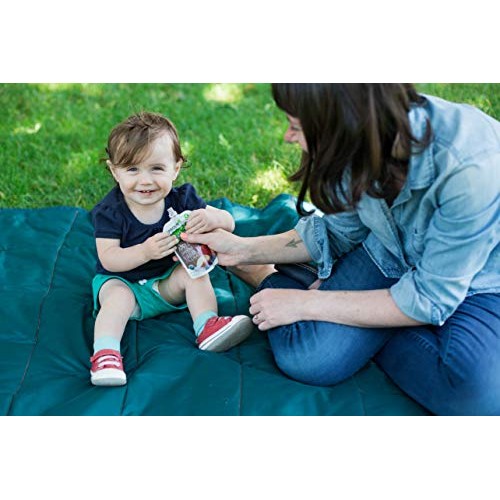 Sprout Organic Baby Food, Stage 4 Toddler Pouches, 8 Flavor Powe