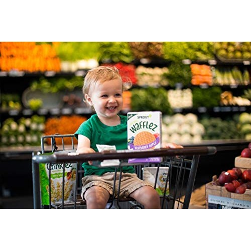 Sprout Organic Baby Food, Stage 4 Toddler Snacks, Blueberry Appl