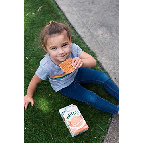 Sprout Organic Baby Food, Stage 4 Toddler Snacks, Blueberry Appl