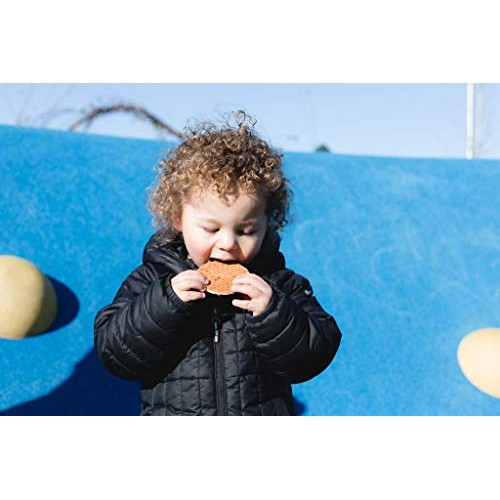 Sprout Organic Baby Food, Stage 4 Toddler Snacks, Pumpkin Butter