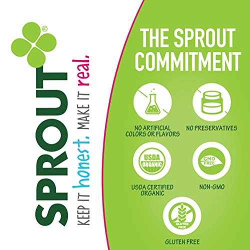 Sprout Organic Baby Food Toddler Snacks Crispy Chews, Red Fruit