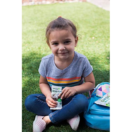 Sprout Organic Baby Food Toddler Snacks Crispy Chews, Red Fruit