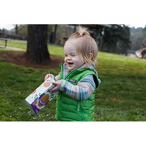 Sprout Organic Wafflez, Blueberry Apple, Box Of 5 Toddler Snacks